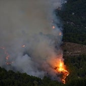 El Consell adelanta la prohibición de quemas agrícolas por el riesgo de incendios forestales