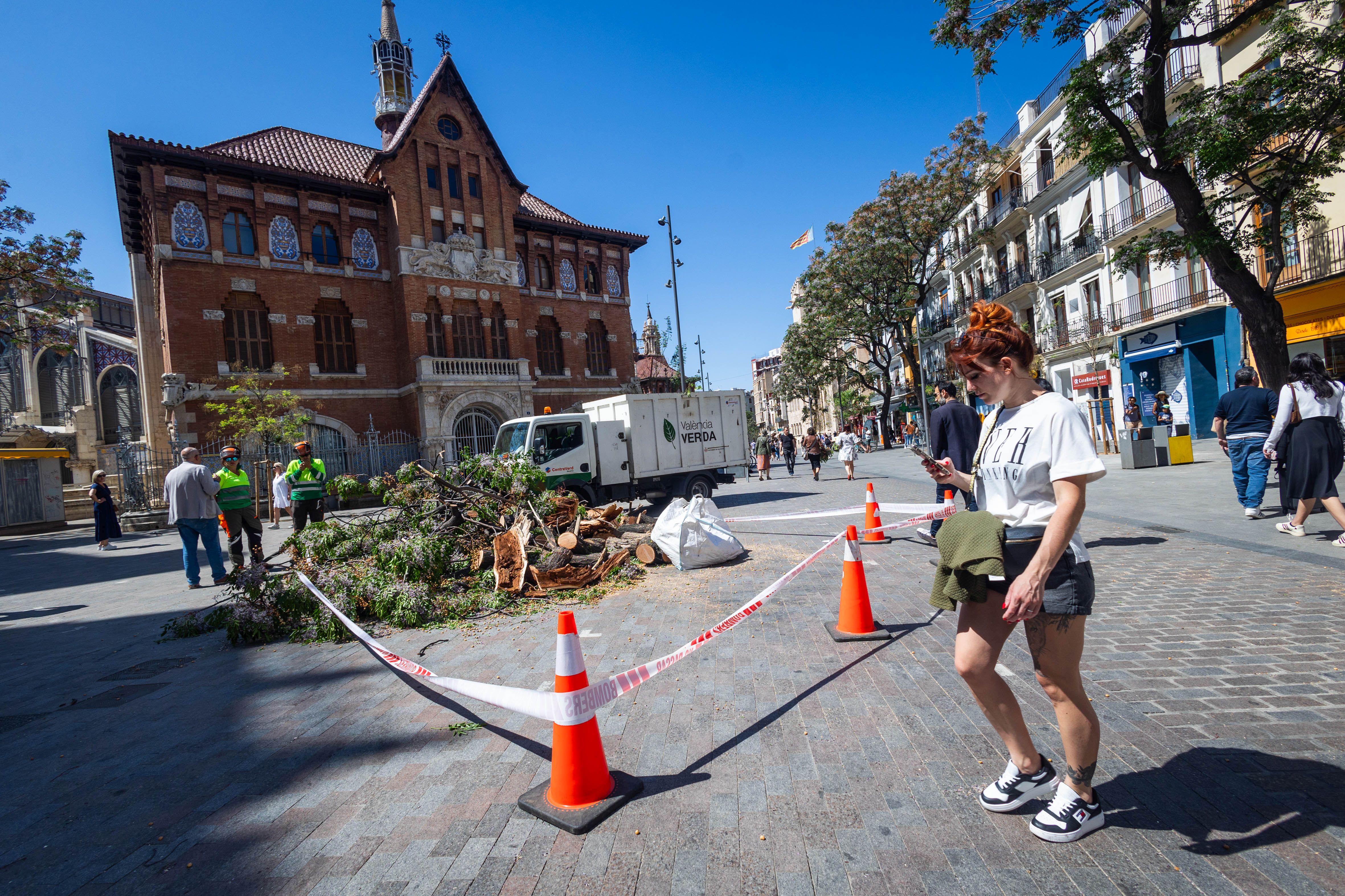 Cae un árbol en la plaza del Mercado de Valencia