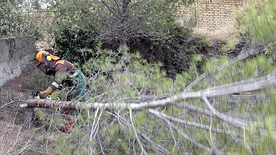Ayudas para la limpieza en el monte: 4.500 euros para cortafuegos y 3.500 para pistas forestales