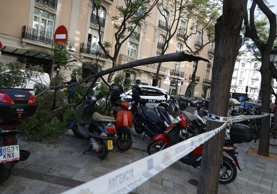 La rama, sobre las motos aparcadas en la acera, este jueves por la tarde.