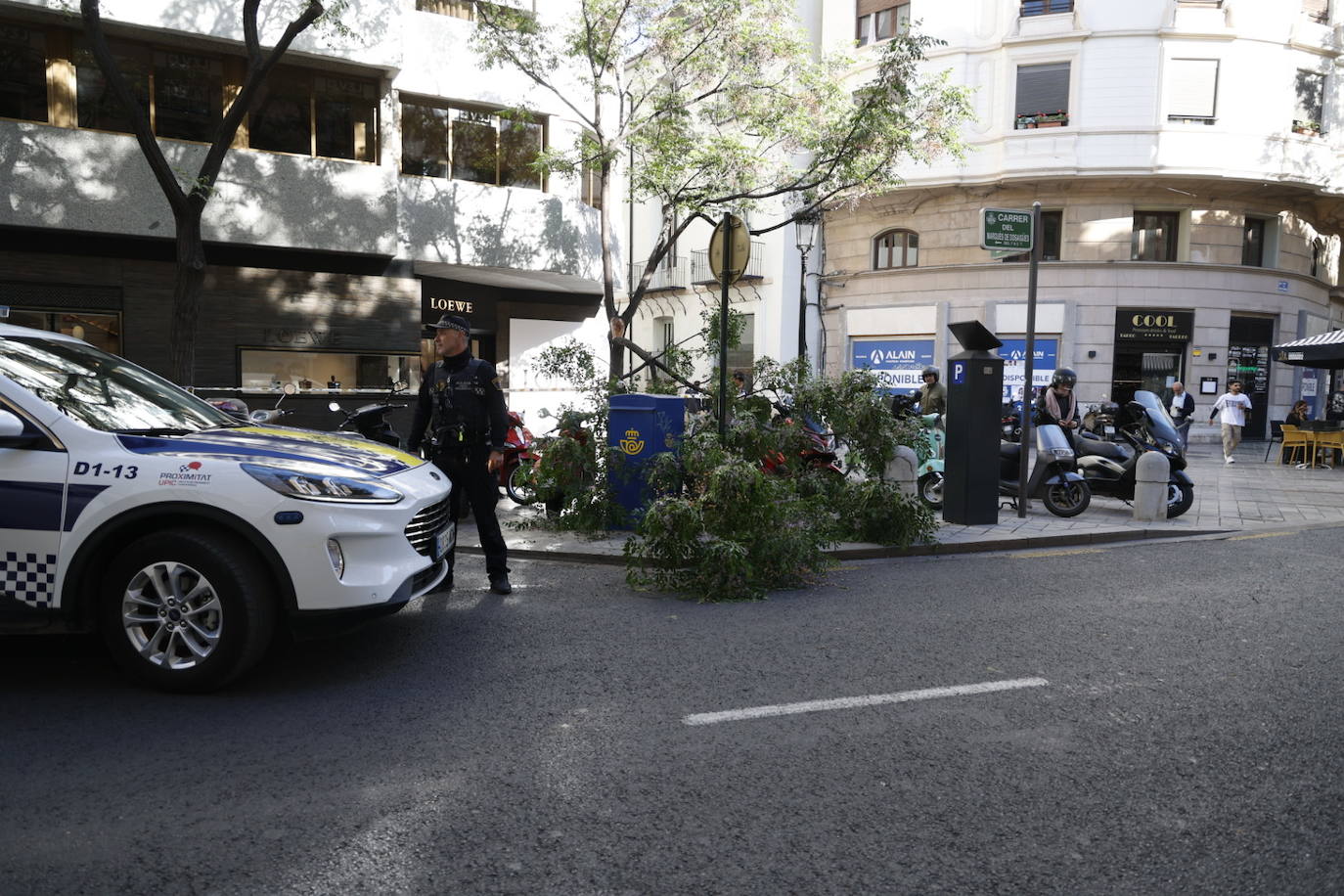 Cae una rama en la calle Poeta Querol de Valencia