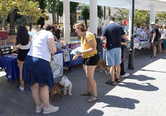 Feria Animalista.