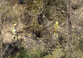 Las tareas para refrescar la zona.