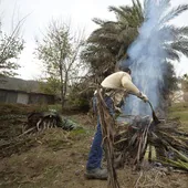 Un agricultor quema residuos agrícolas.