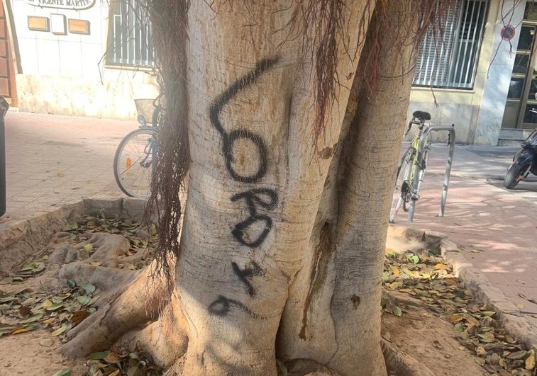 La pintada aparecida en el tronco del ficus atacado en la plaza de España de Valencia.