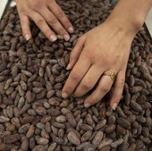 El nuevo oro negro: el precio del chocolate compite con el del aceite de oliva