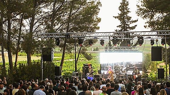 Tierra Bobal, experiencias inolvidables a menos de una hora de Valencia