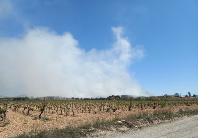 Estado del incendio una semana después de su arranque.