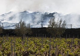 Fotos de Requena, una semana entre el humo