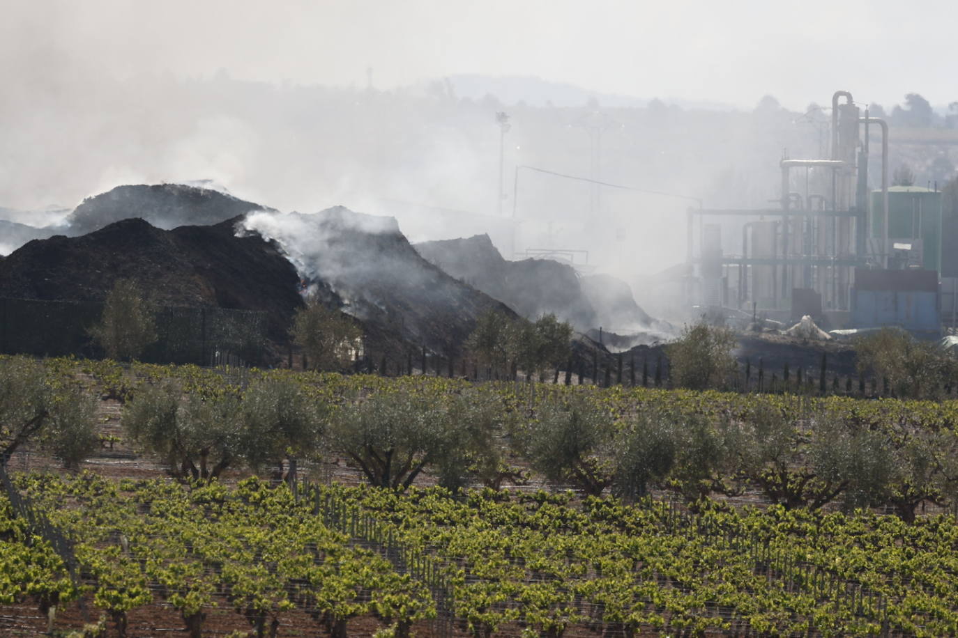 Fotos de Requena, una semana entre el humo