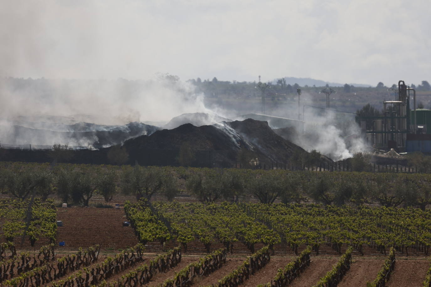 Fotos de Requena, una semana entre el humo