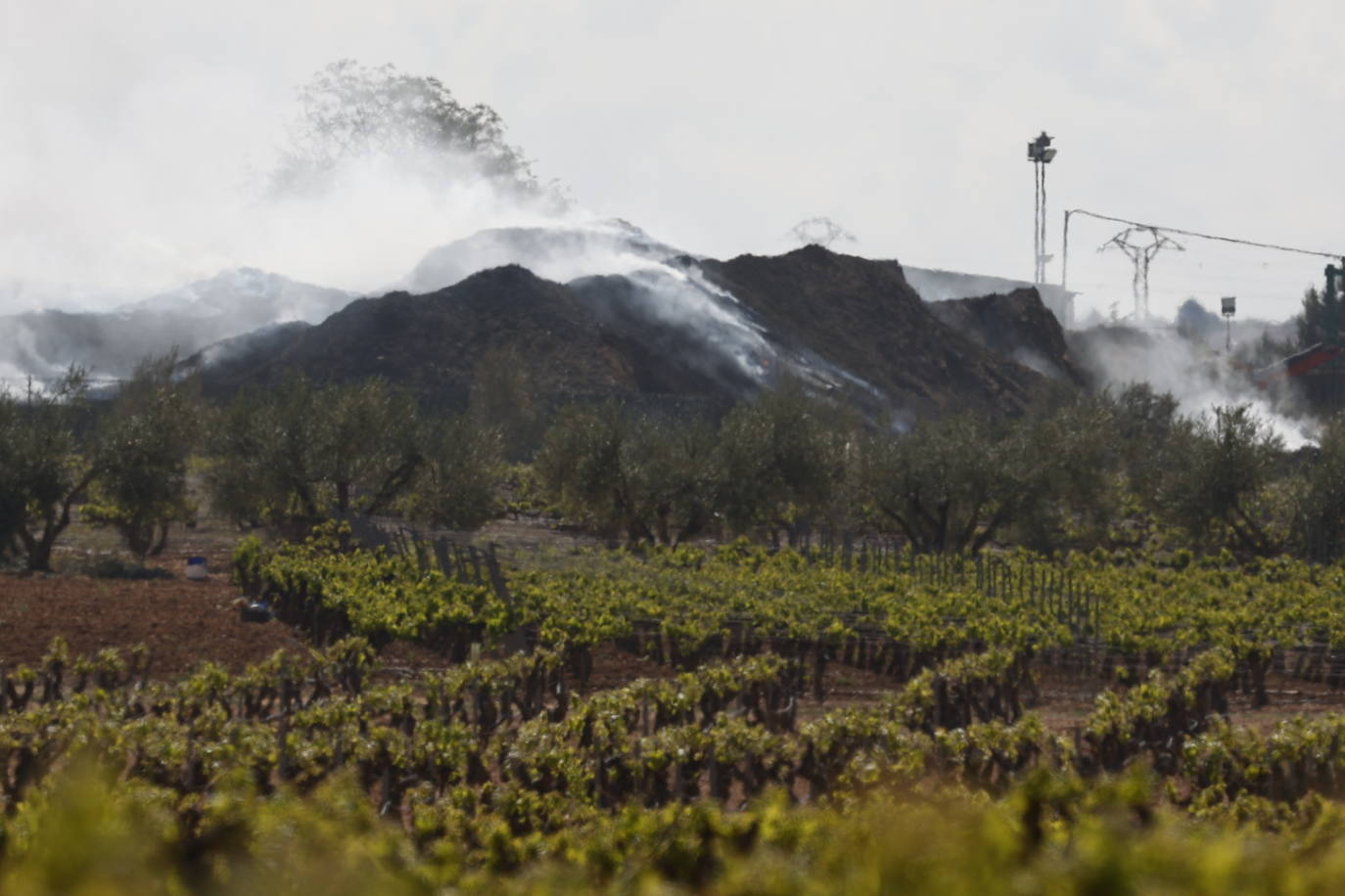 Fotos de Requena, una semana entre el humo