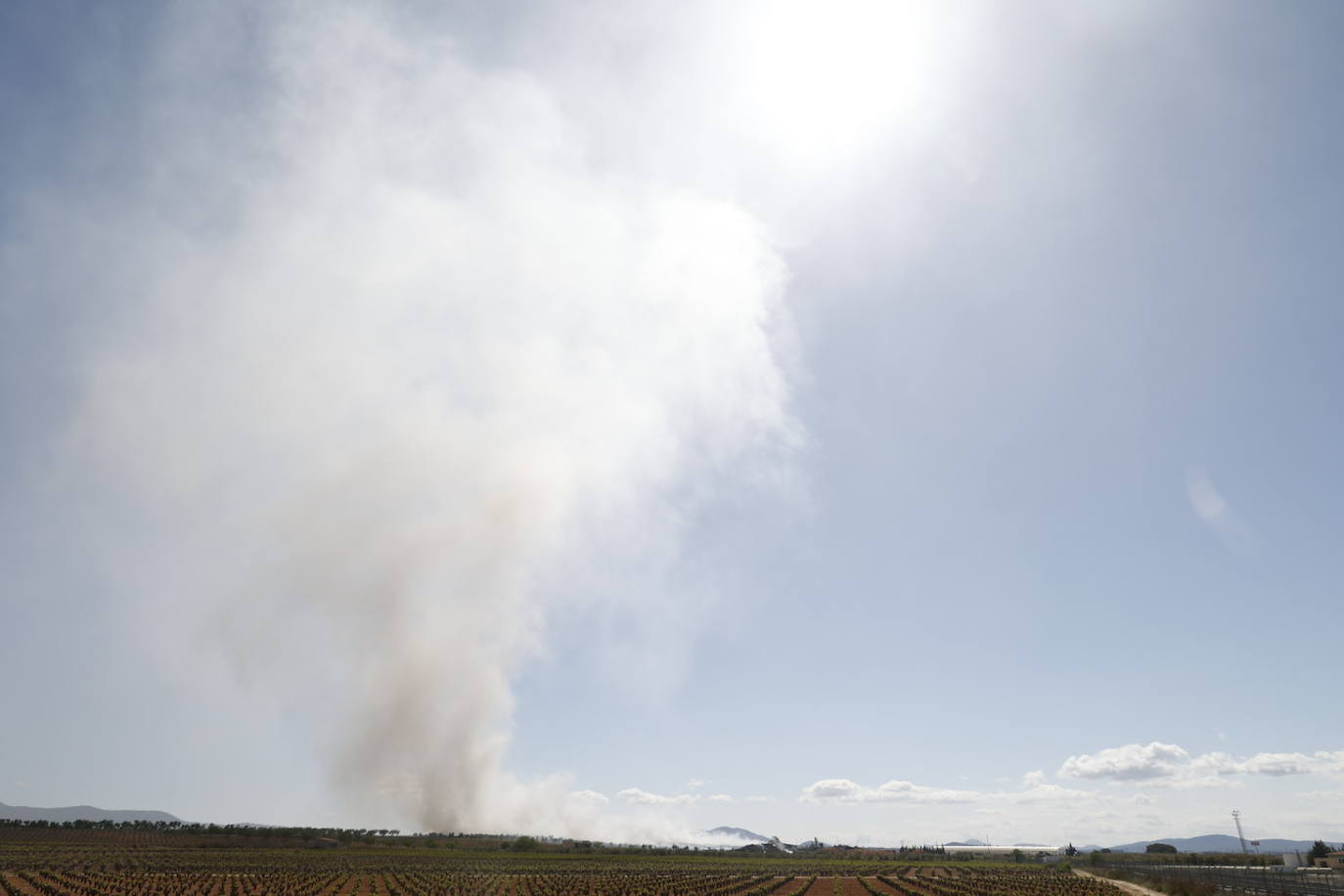 Fotos de Requena, una semana entre el humo