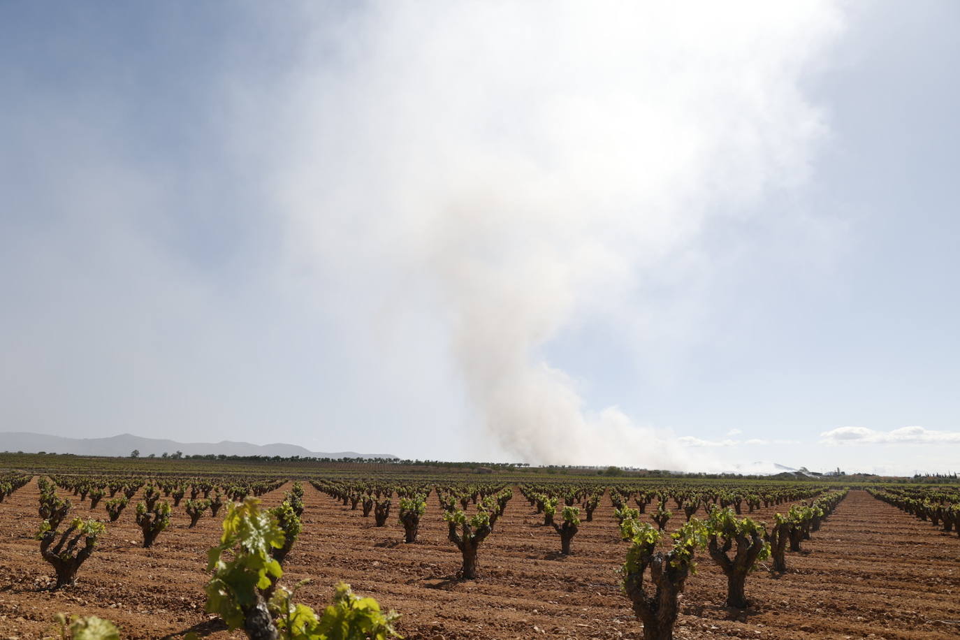 Fotos de Requena, una semana entre el humo