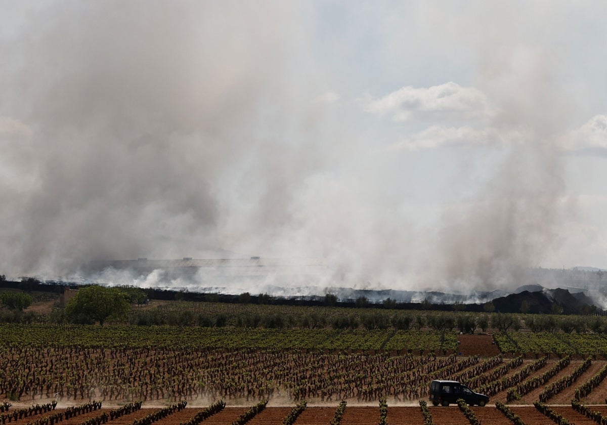 El humo complica el día a día de los vecinos de Requena.