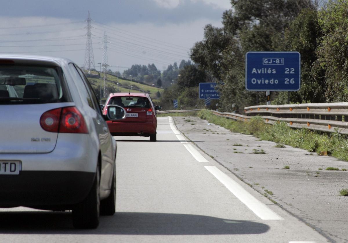 Las adelfas, la planta que casi ningún conductor sabe por qué se usa en las autovías