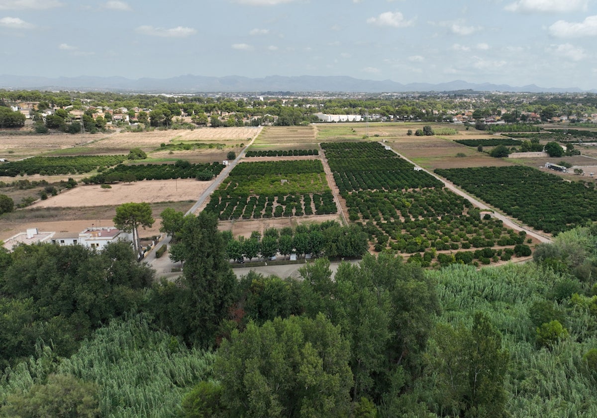 Concentración parcelaria en Riba-roja de Túria.