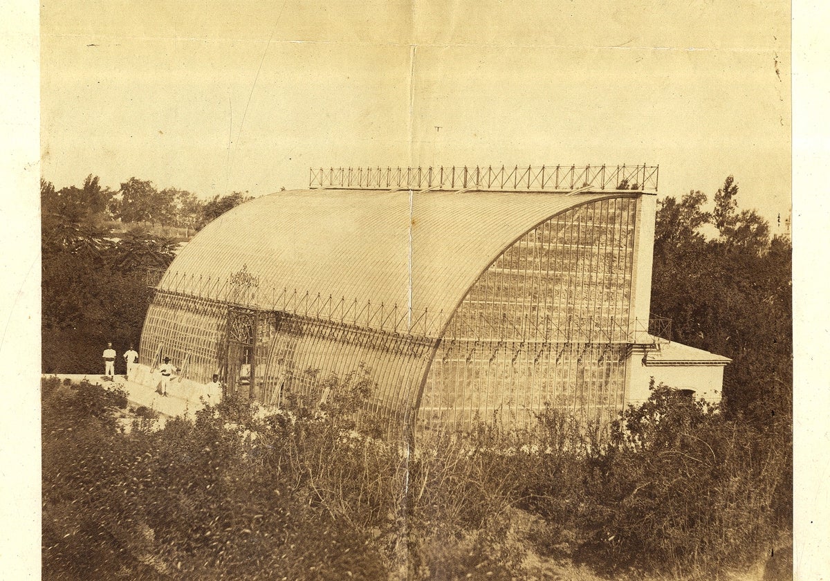 Primera foto conocida del Jardín Botánico. Es de 1861 y muestra el invernadero tropical diseñado por el arquitecto Sebastián Monleón. Archivo General de la Administración.