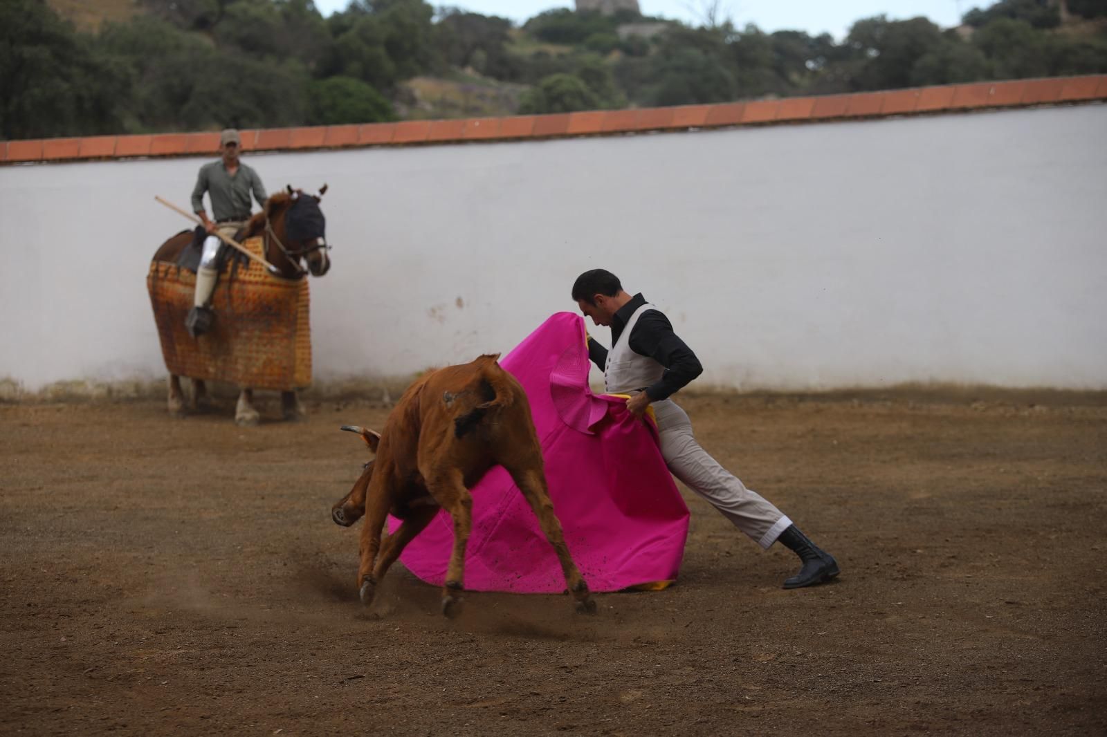 Imagen principal - Enrique Ponce: «No habrá corte de coleta. Nací torero y moriré torero»