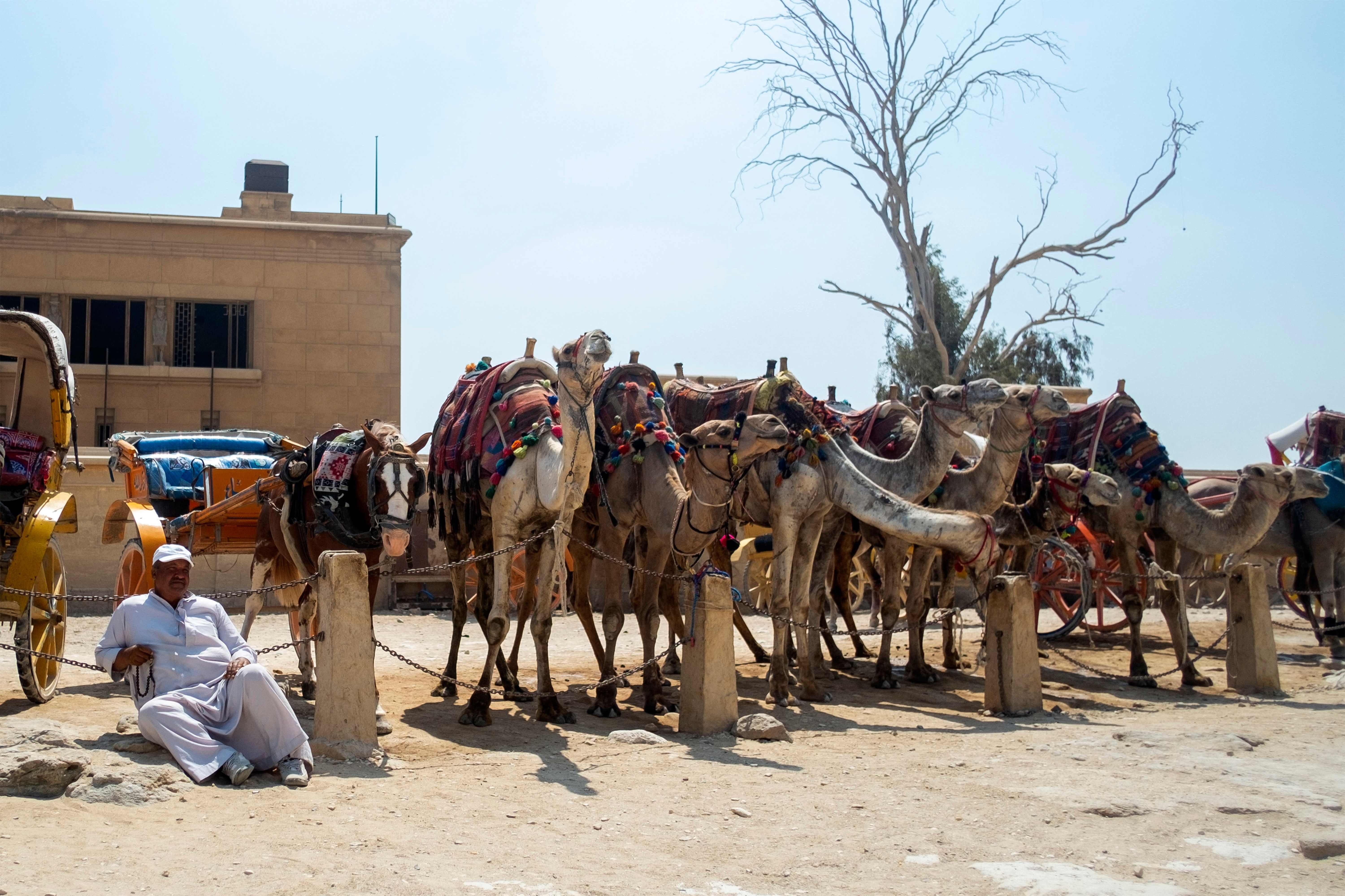 Las pirámides de Giza se preparan para la llegada de turistas