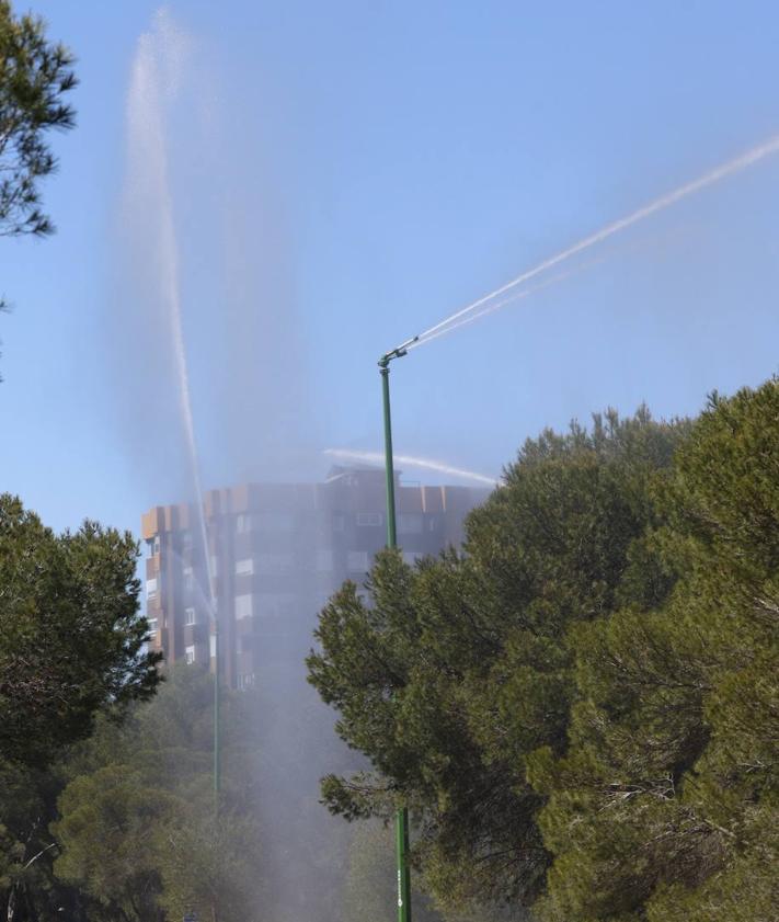 Imagen secundaria 1 - Valencia activa los ocho primeros cañones antiincendios en El Saler