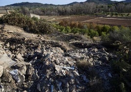 La falta de limpieza en algunas zonas del parque natural es evidente.