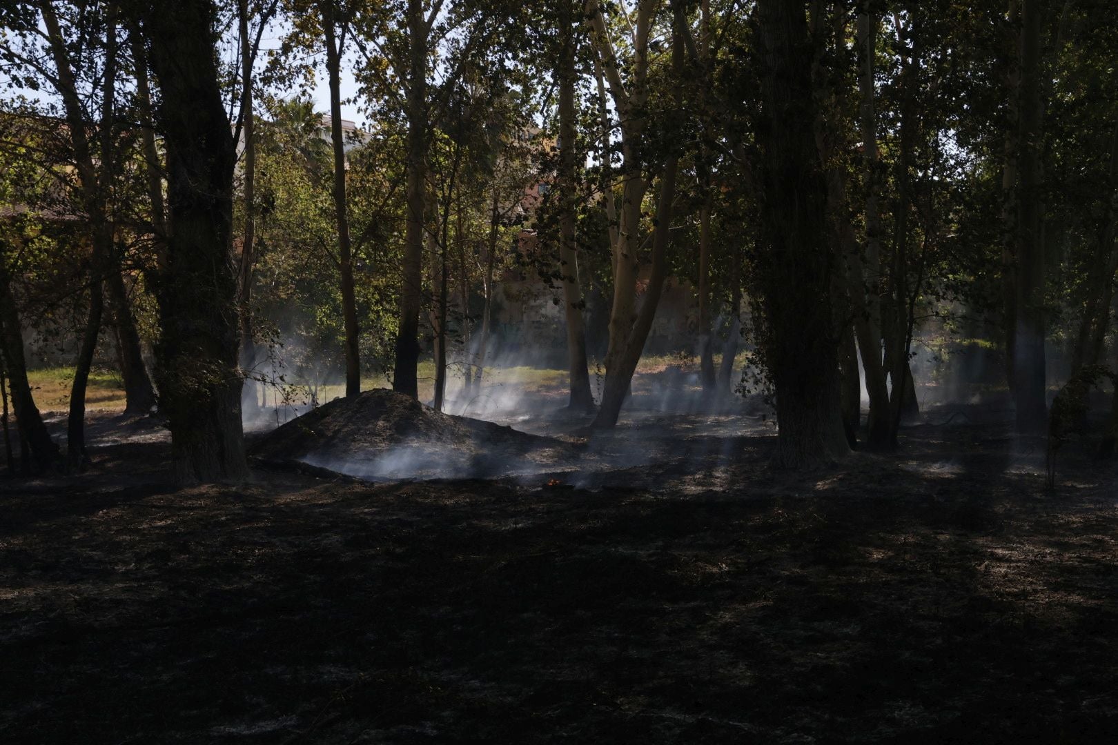 Un incendio amenaza la urbanización Masía de Traver en Riba-roja