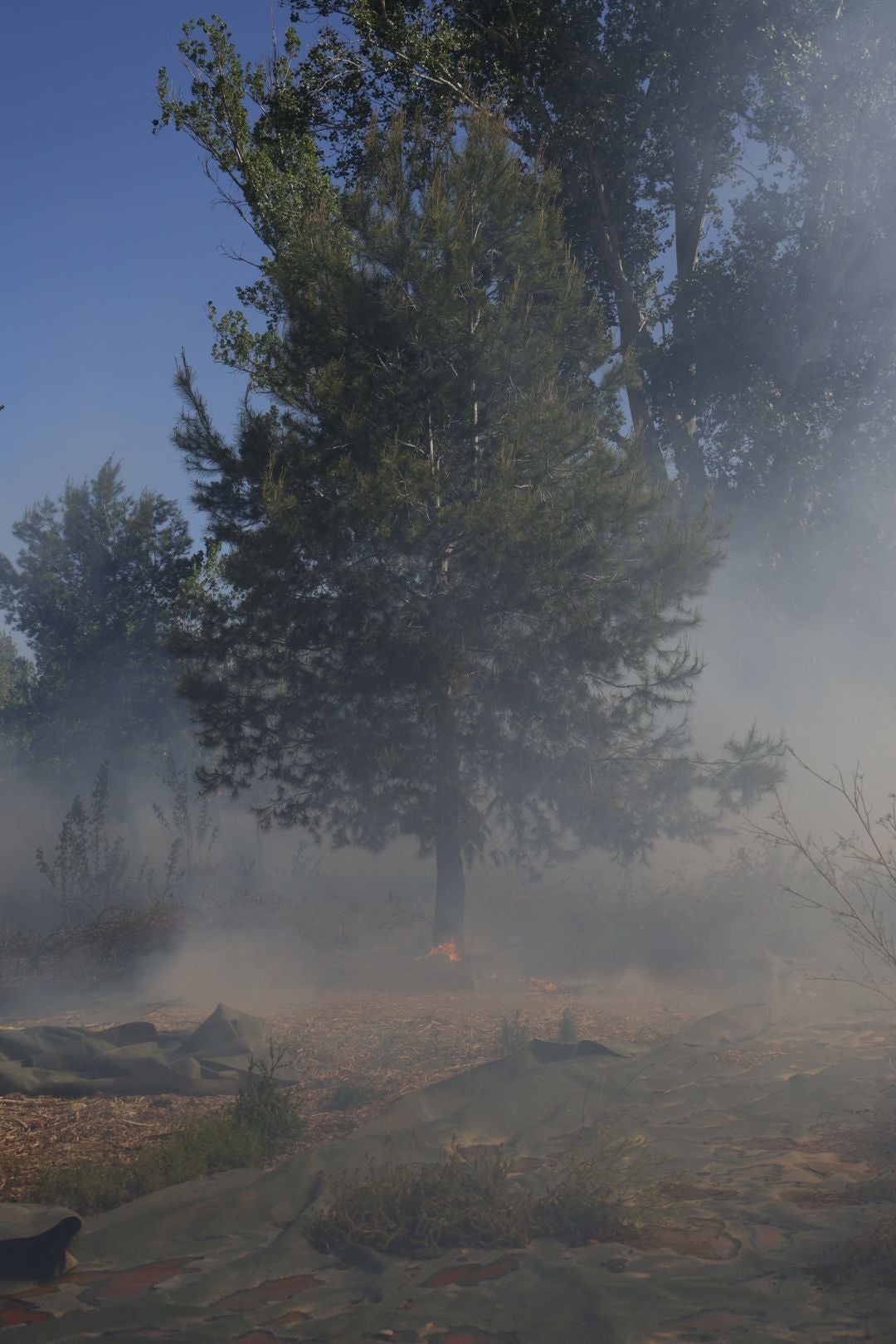 Un incendio amenaza la urbanización Masía de Traver en Riba-roja