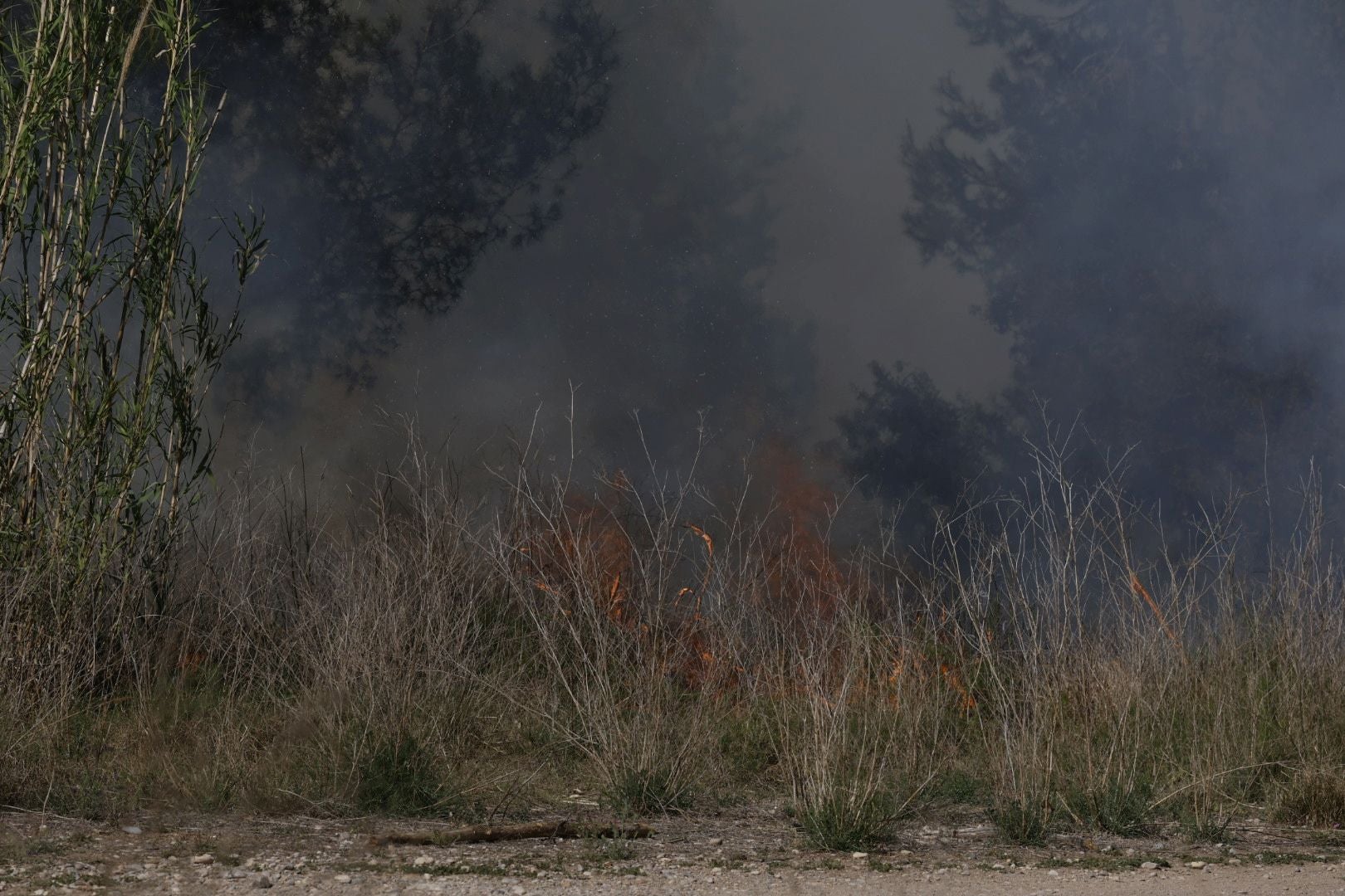 Un incendio amenaza la urbanización Masía de Traver en Riba-roja