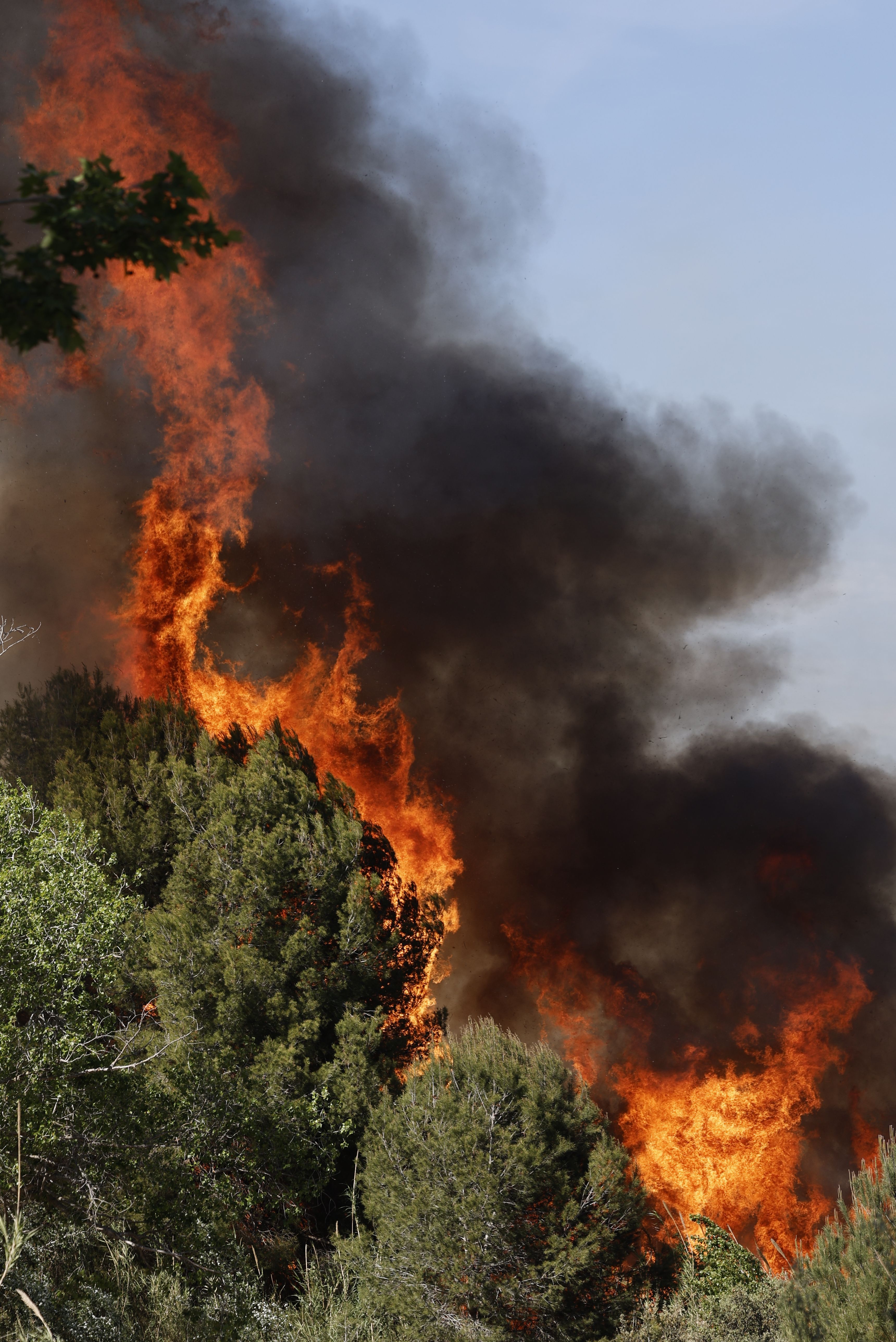 Un incendio amenaza la urbanización Masía de Traver en Riba-roja