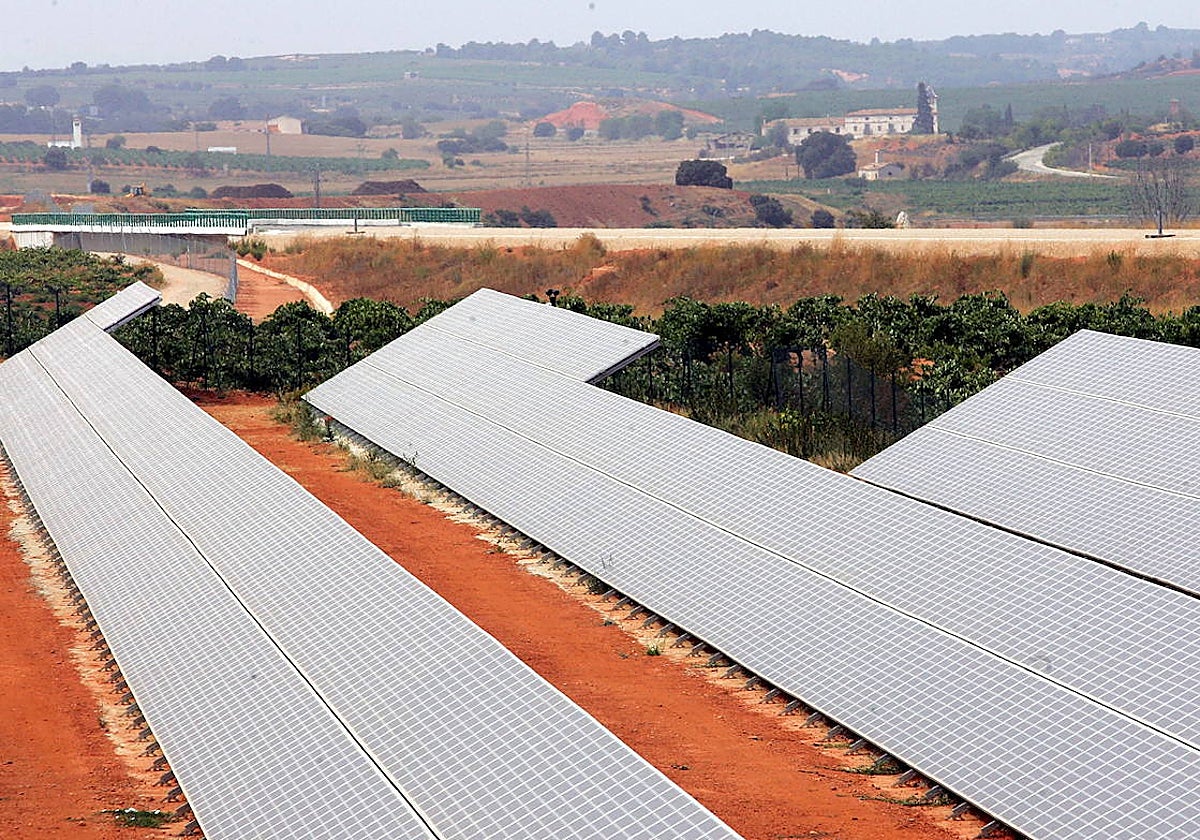 Paneles solares entre viñas para la obtención de energía fotovoltaica.