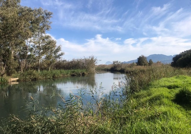 En el Calaptar se puede disfrutar de la fauna acuática de la zona.