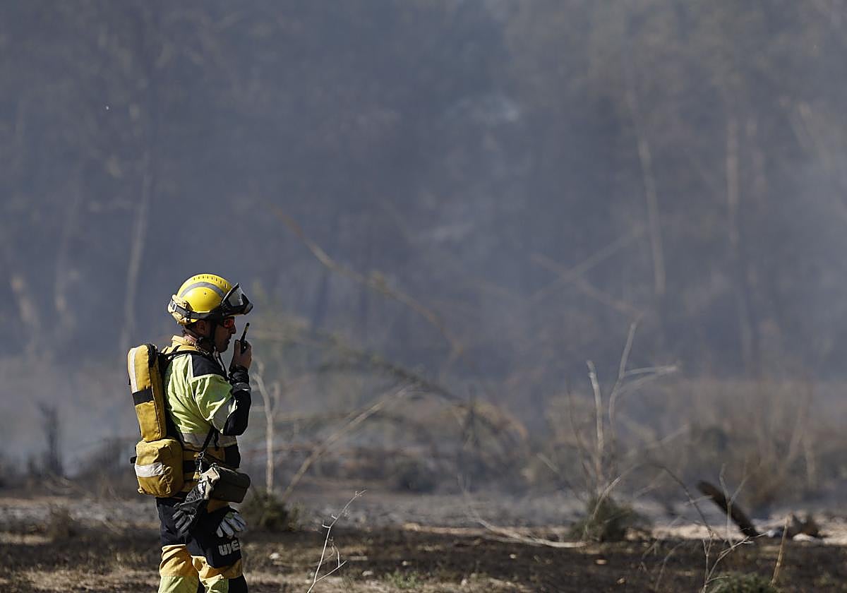 Un bombero forestal en una imagen de archivo.
