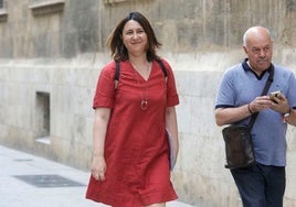 Rosa Pérez, a su llegada al último pleno del Consell del Botánico.