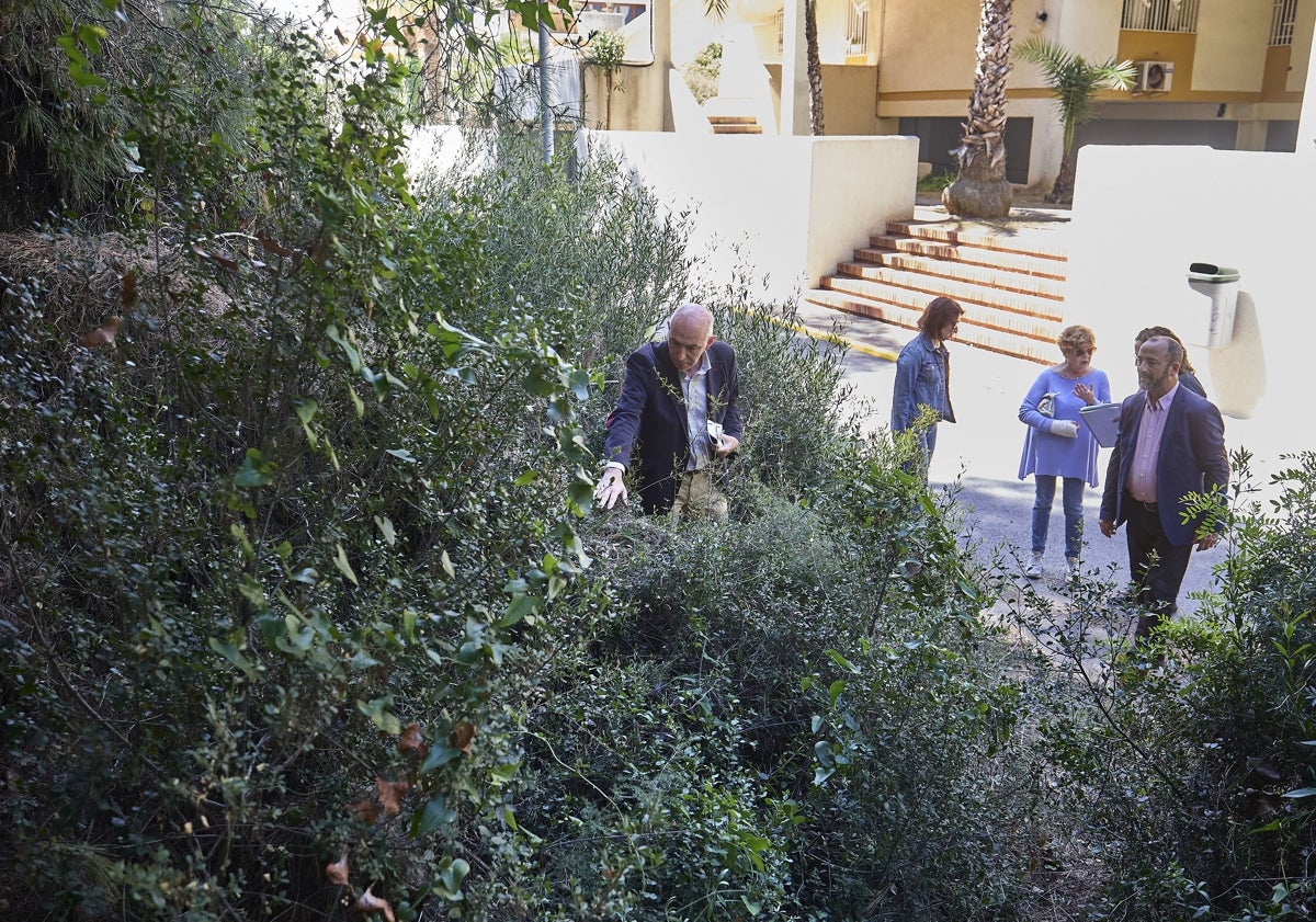 Imagen principal - El concejal de la Devesa, José Gosálbez, mostrando la maleza y ramas de árboles junto a las casas de Gavines III.