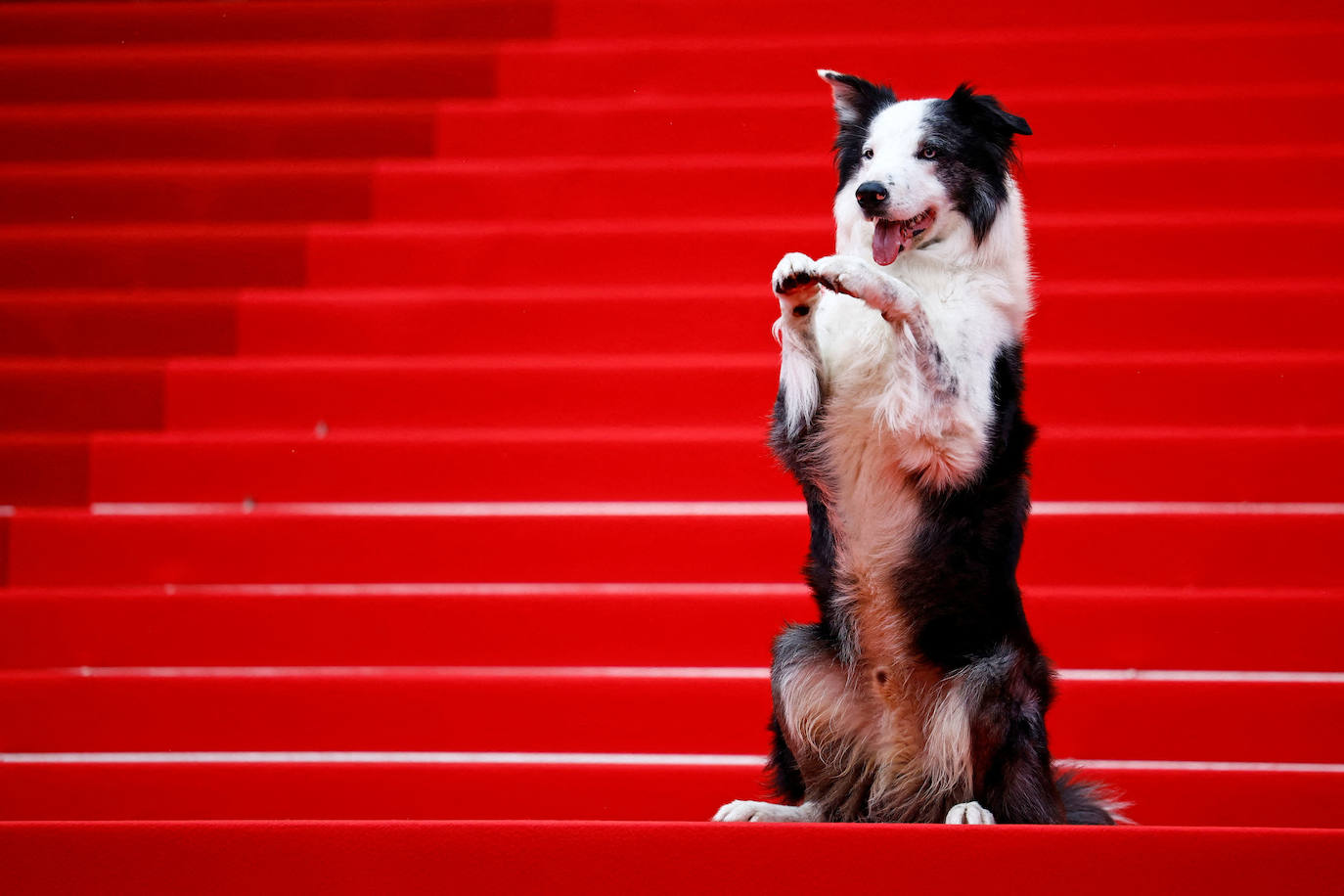 Fotos del Festival de Cannes 2024