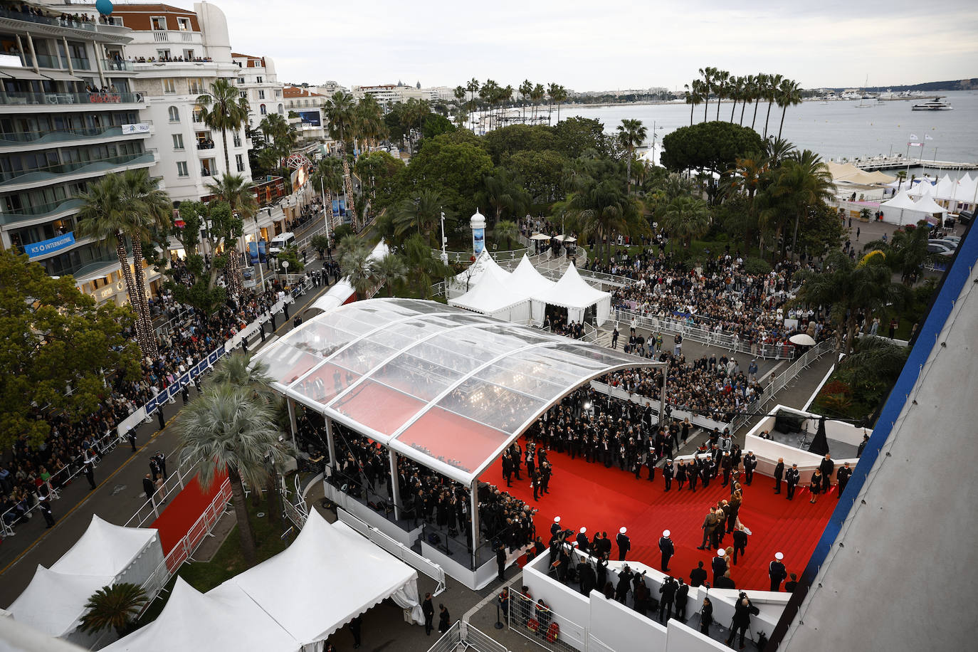 Fotos del Festival de Cannes 2024