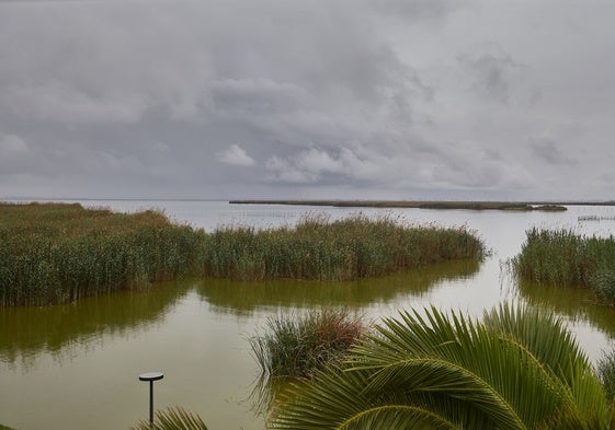 Vista del lago de la Albufera.