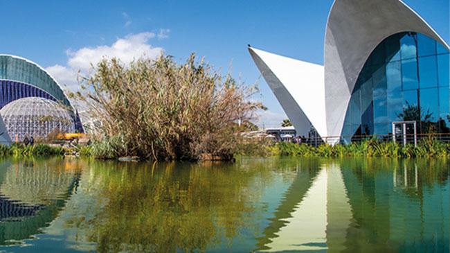 Imagen después - Un lago para residentes y para visitantes