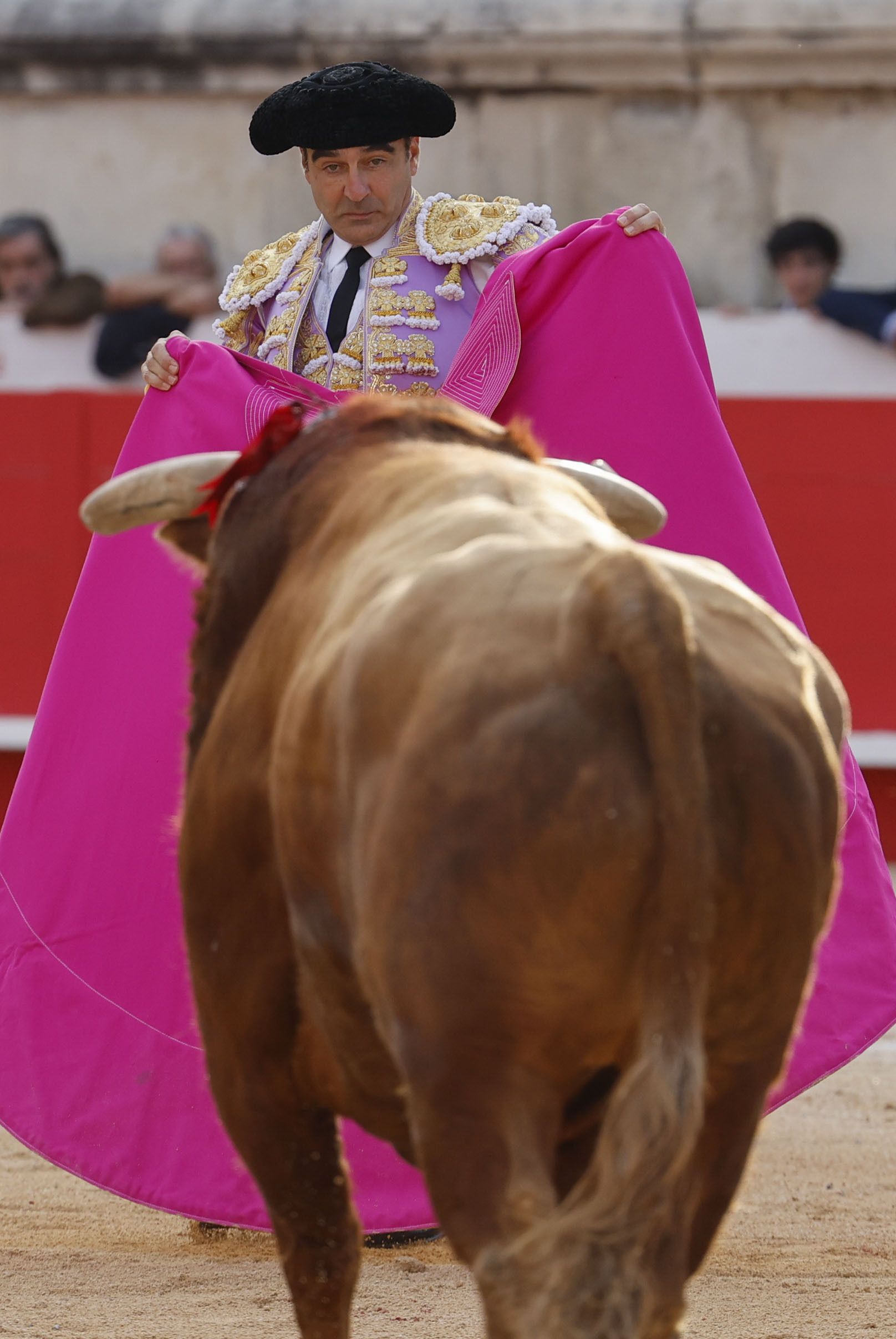 Enrique Ponce, en la Feria de Pentecostés 2024 de Nimes