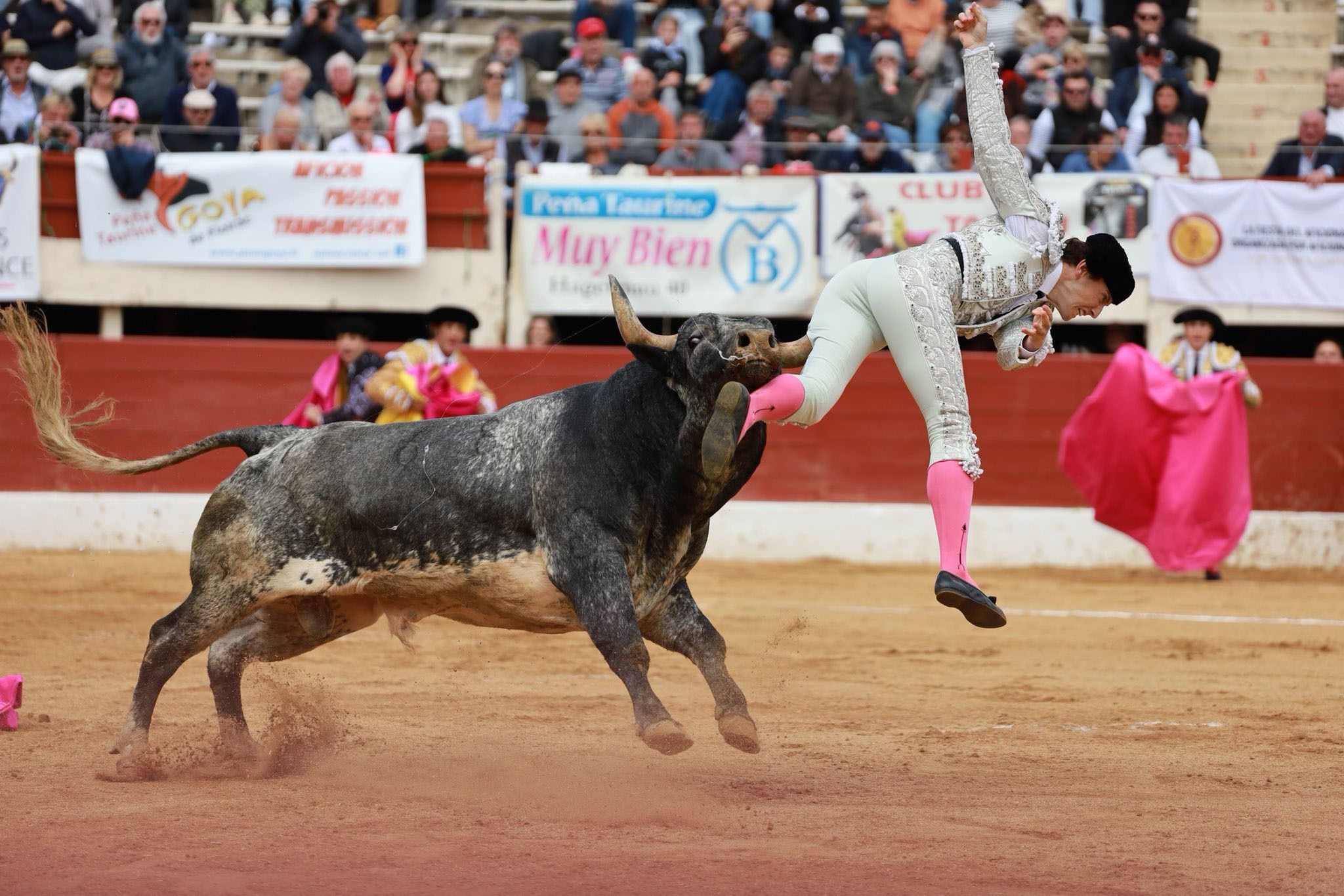 Grave cogida del torero Román en Vic