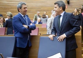 Vicente Barrera y Carlos Mazón, en Les Corts.