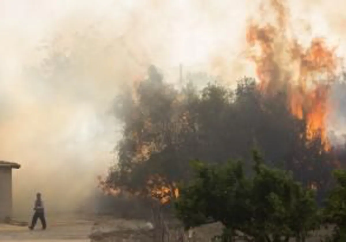 El Consell destinará 342.000 euros para mitigar los procesos erosivos del suelo en la zona del incendio de Montitxelvo