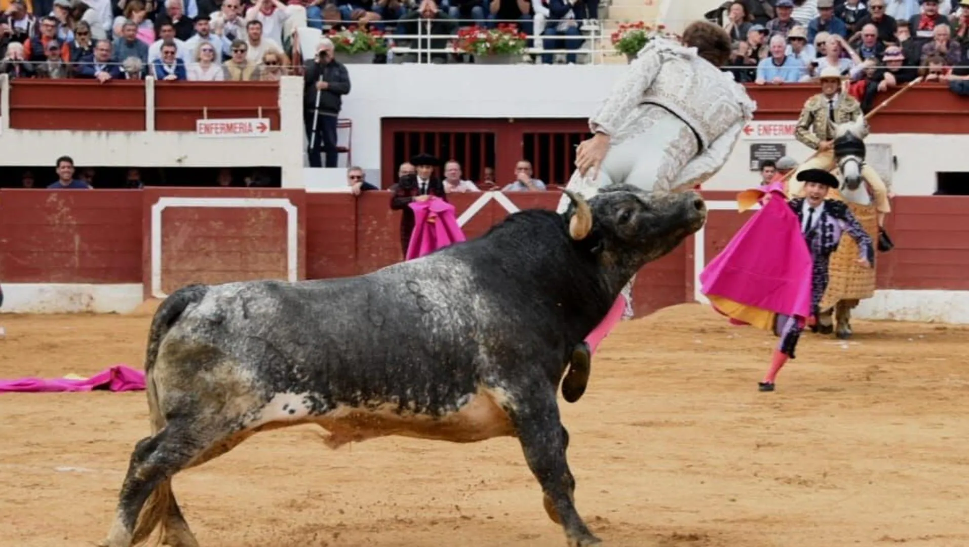 Grave cogida del torero Román en Vic | Las Provincias