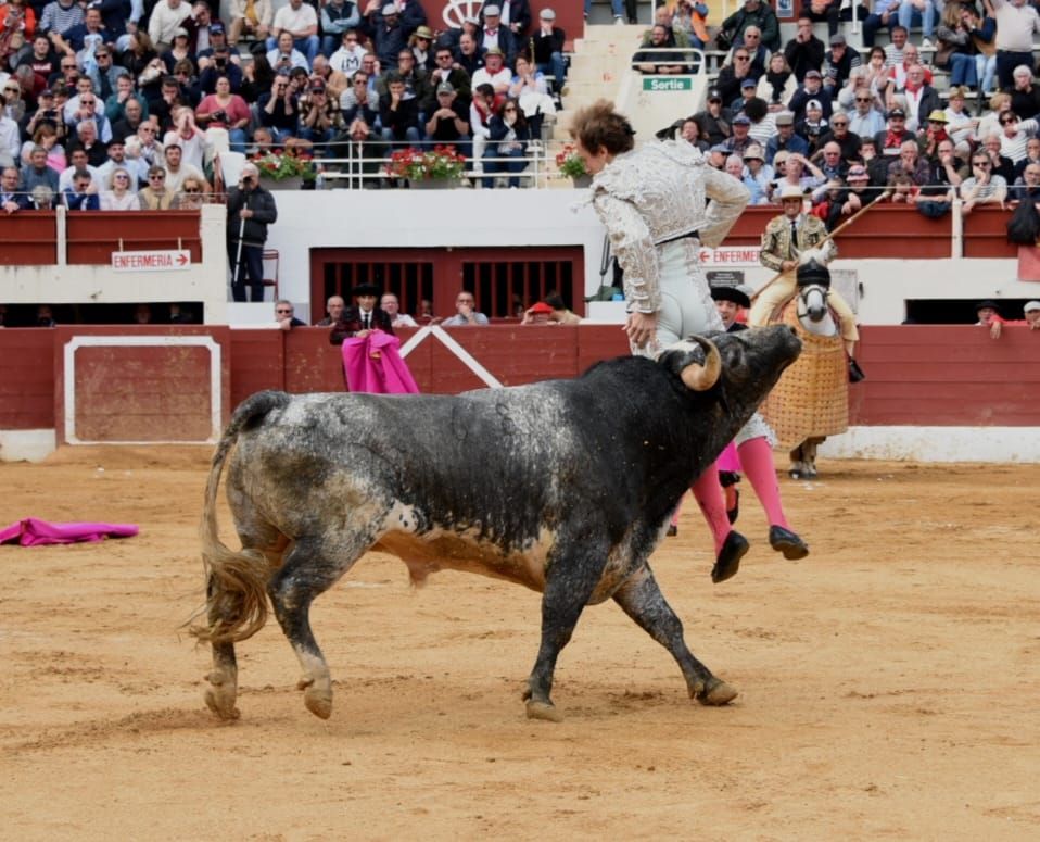 Grave cogida del torero Román en Vic