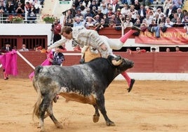 El toro cornea a Román.