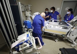 Sanitarios atienden a un paciente en el hospital La Fe.