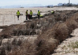 Obras de regeneración en l'Arbre del Gos.