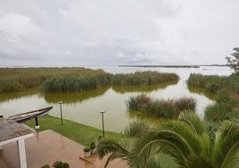 Un paraje de la Albufera.