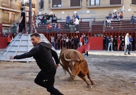 Bous al carrer.